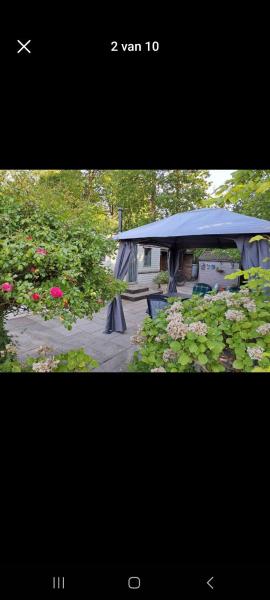 Dutch calmness
